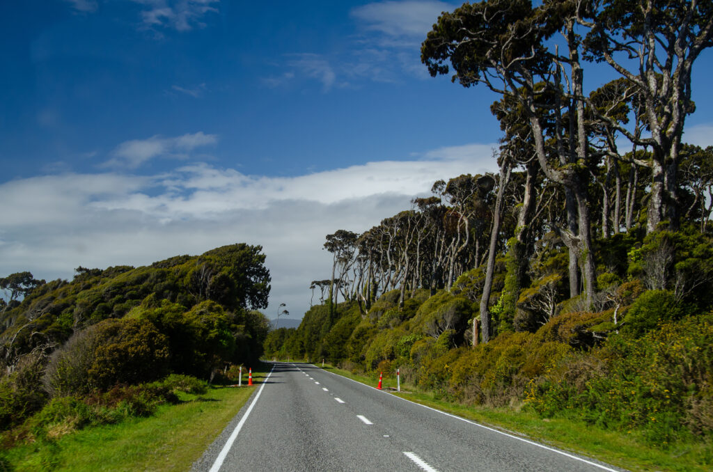 road in west coast, south island, new zealand